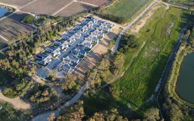 Rhebokskloof Estate: Where Stone, Water and Vine Shape a New Kind of Living